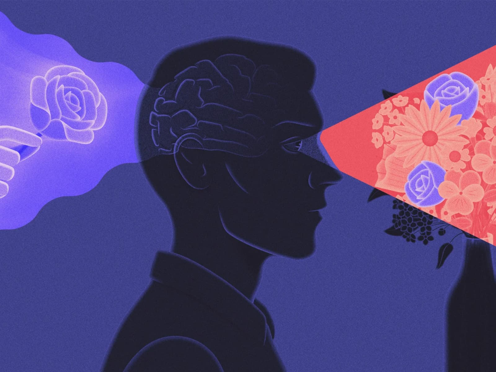 Brain showing effects of chronic stress on memory